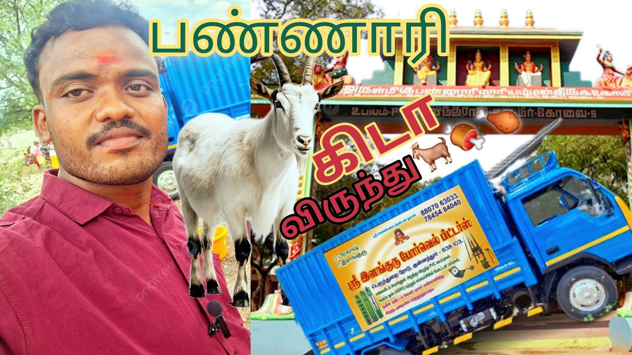 பண்ணாரி அம்மன் கோவிலில் தங்கச்சி வீட்டு கிடா விருந்து|Bannari Amman Kovil History in tamil|#bannari 