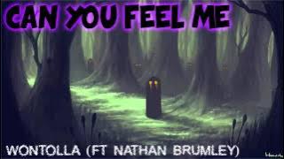 Wontolla - Can You Feel Me (ft Nathan Brumley)