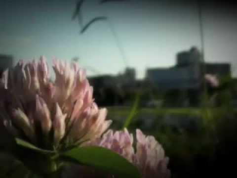 君のいるところと君のうた ＿小久保 淳平 //where you are and