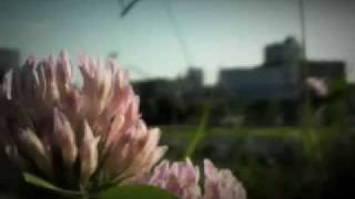 君のいるところと君のうた ＿小久保 淳平 //where you are and