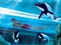 ЗИМОЙ в АКВАПАРКЕ Дельфины Спариваются Tour Aquatica Orlando 03.03.2012