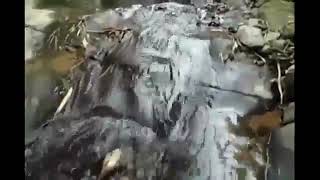 Sound of creek (Plunge pool) -  Sound of Nature Serenity, Relaxation &amp; Meditation