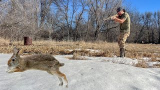 Winter Rabbit Hunting with a Shotgun! (CATCH CLEAN COOK)