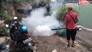 fogging panggang jepara