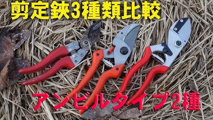 剪定はさみ比較 アルスv8津軽型 フェルコ31 ライオン8107 Youtube