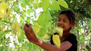 Survival skills: Find food meet star fruit & cook on clay for eat - Star fruit eating delicious #41
