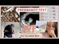 Tes kehamilan hasil bayi tabung  pregnancy test  the two week wait  my ivf journey part iii