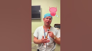 What Happens During a Prostate Biopsy? Dr. Ginsburg Breaks it Down....