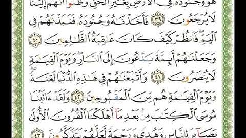سورة القصص 28 - 114 ناصر القطامي - قراءة مرتلة
