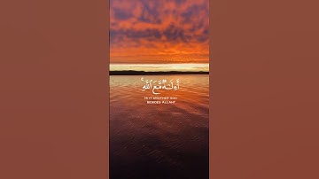 سورة النمل الآية (62) القارئ إسلام صبحي #قرآن