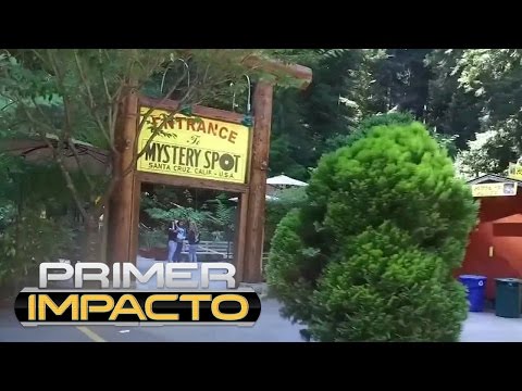 Video: Ubicado en un frondoso bosque en Pensilvania: la casa Seidenberg