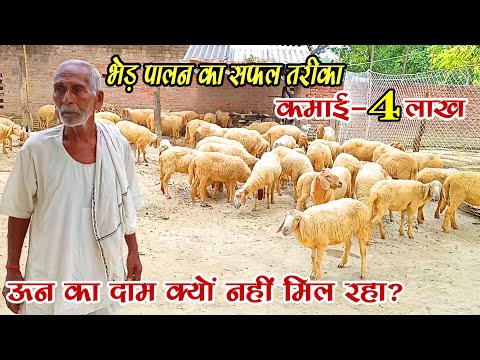 वीडियो: कूसकूस भरवां भेड़ का बच्चा कैसे पकाने के लिए