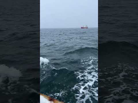 Wideo: Morze Barentsa. Opis