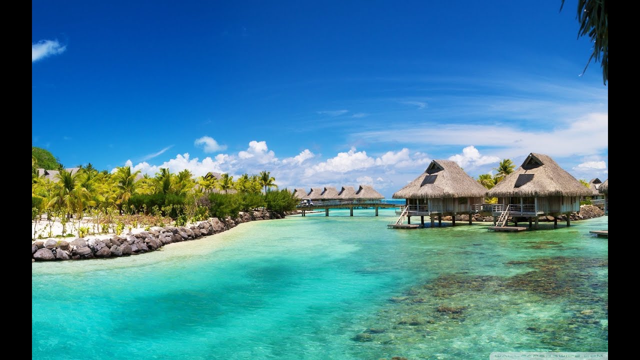 Make Money And Save On Travel With Paycation Travel