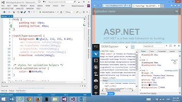 Web Essentials: Browser tools integration