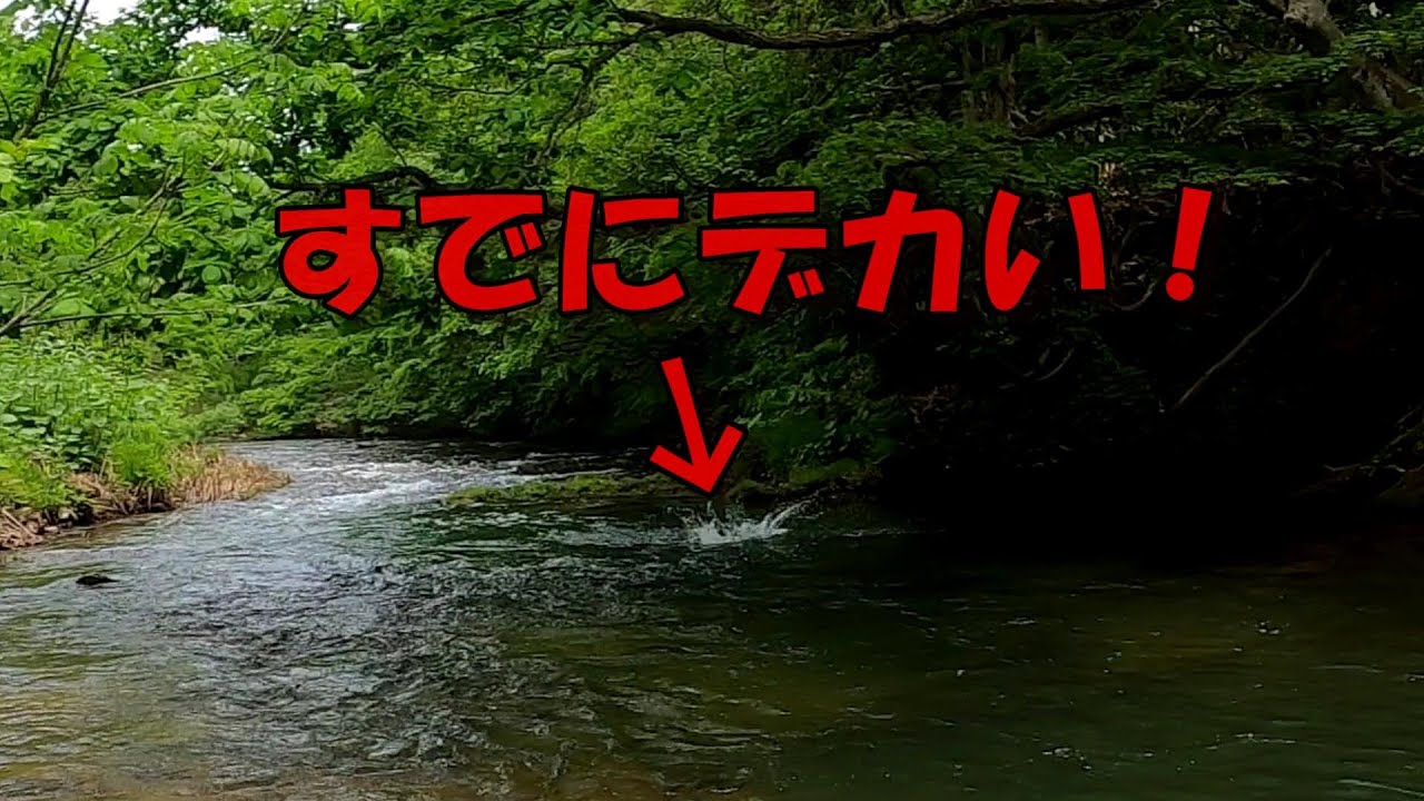 水しぶきの段階でもうデカい！渓流でバカでかいトラウトつれた！【渓流ルアー】