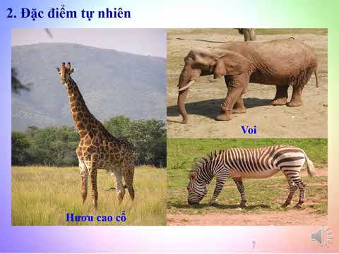 Địa lý 5 - Châu Phi