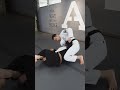 リバースハーフに切り替えて腕十字　Reverse Half to Armbar