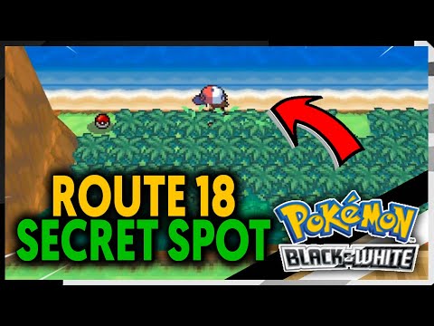 Pokemon Black Walkthrough Part 18: Extra Training For The Membrane