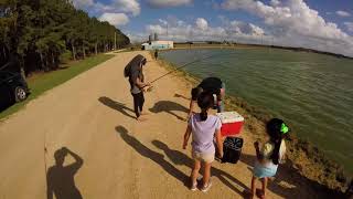 Catfish Farm