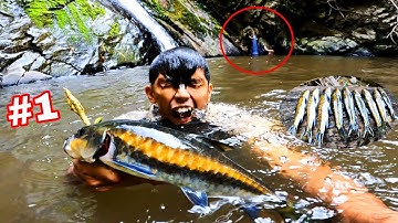 Hàng Trăm Con Cá Rừng Chen Chút Nhau Trong Khe Suối Nhỏ Không Ai Dám Bắt | Ngủ Rừng Săn Mật Ong (P1)