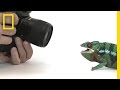 Analyzing Video Elements and Effects