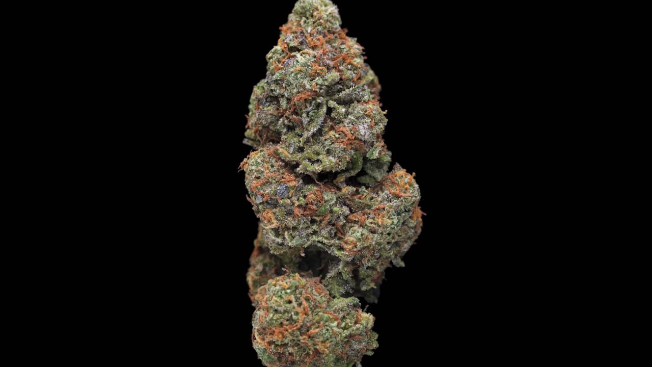 GrandDaddy Purple 360 - October 2016