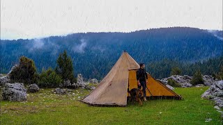 SOLO CAMPING in heavy RAIN with my DOG - RELAXING in the TENT - COSY NIGHT, ASMR by Serkan Bilgin Bushcraft 7,257 views 4 weeks ago 21 minutes