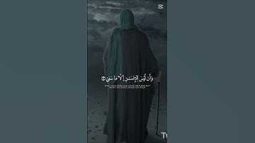 القران الكريم راحة نفسية ❤️ #اكسبلور #تلاوة_خاشعة #دويتو #المصحف #لايك #yasseraldossary #ahmedgaber
