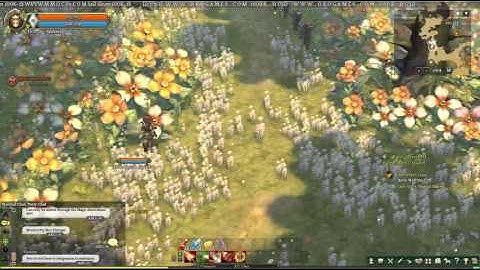 Tree Of Savior Bug/Disconnected