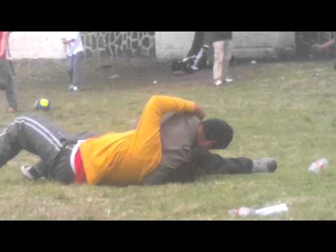 XIX Video