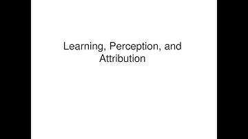 Perception and Attribution (MBA 202-OB Video Presentation), PIMG!