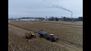 Mid December Corn Harvest in Western New York