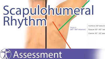 Scapulohumeral Rhythm