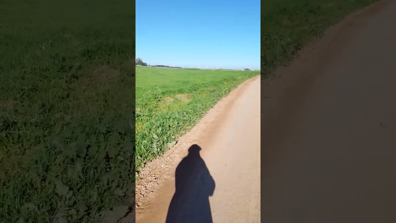 نهاركم مبروووووك 