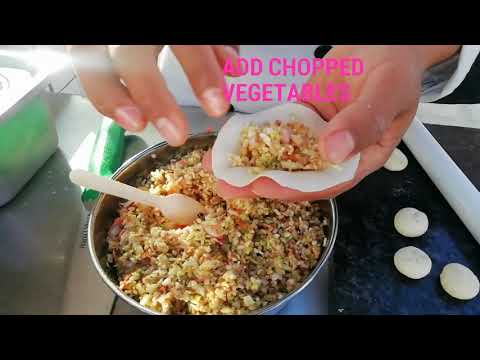 Veg Momos Recipe | मोमोज बनाने की विधि | Vevo | Veg Dimsum| Beautiful You And Astrology