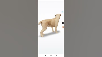 #3D #How to see Google 3d Animal.