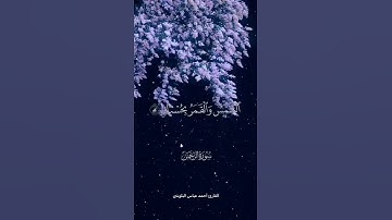تلاوة جميله للقارئ أحمد عباس البلوشي