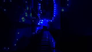 Flowers of Winter [Original Piano Composition)