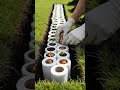 Why You Should NEVER Throw Away Toilet Paper Rolls!
