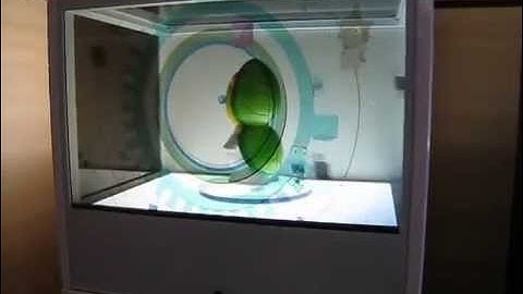 Clearview Transparent LCD Showcase