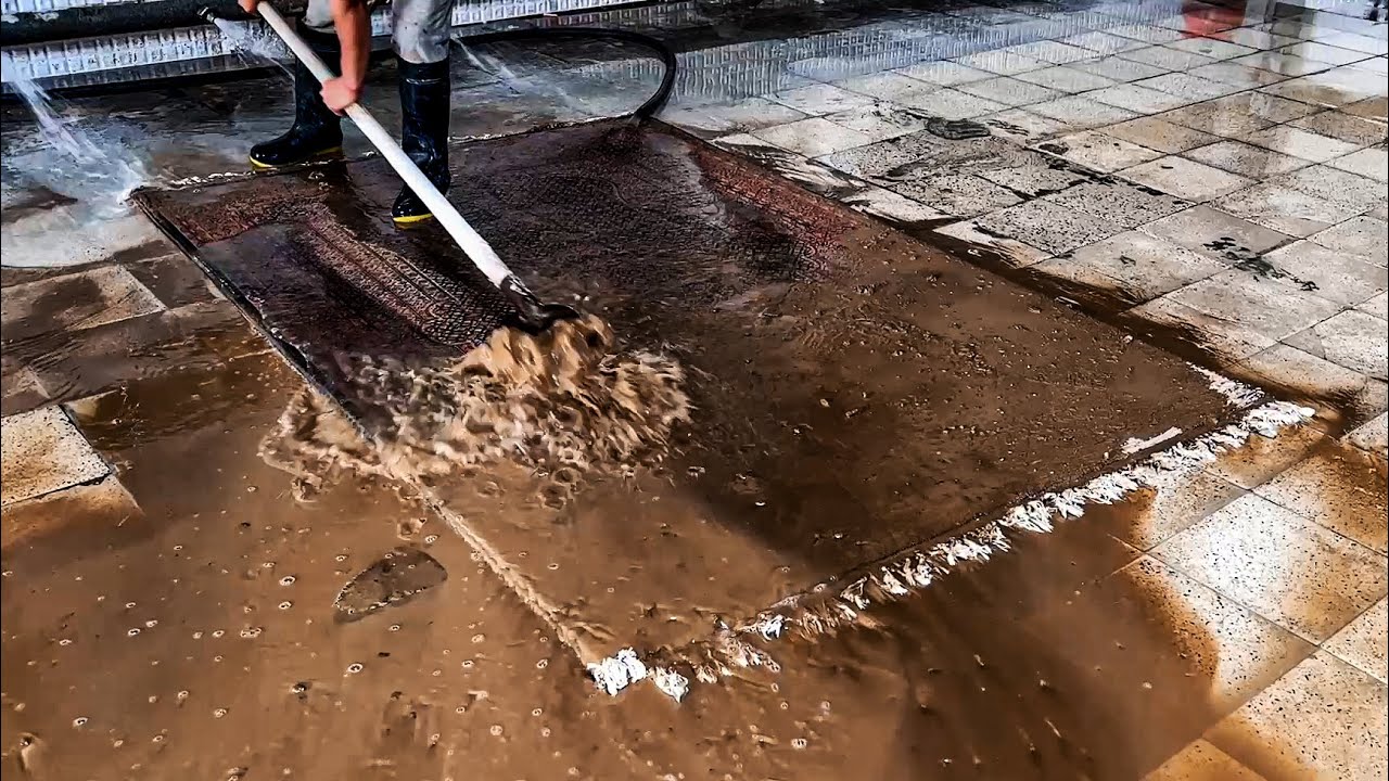 EPIC dirty carpet cleaning satisfying ASMR Rug Cleaning Daily carpet