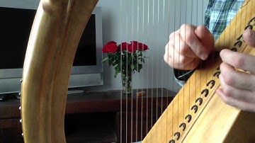 Wire Strung Harp by Michael J King