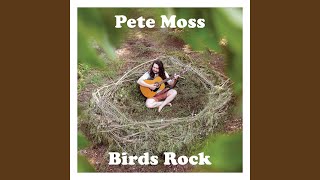 Video thumbnail of "Pete Moss - Every Pigeon Is a Dove"