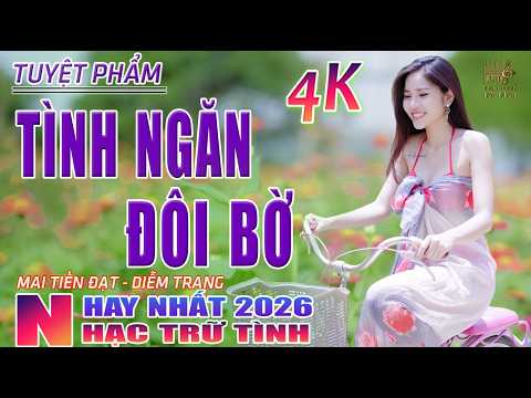 Tình Ngăn Đôi Bờ, Đường Tím Bằng Lăng🛑 Nhạc Trữ Tình Hay Nhất 2026 - Lk Bolero Nhạc Vàng Xưa Bất Hủ