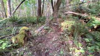 Tehaleh MTB XC Trail 07/09/22