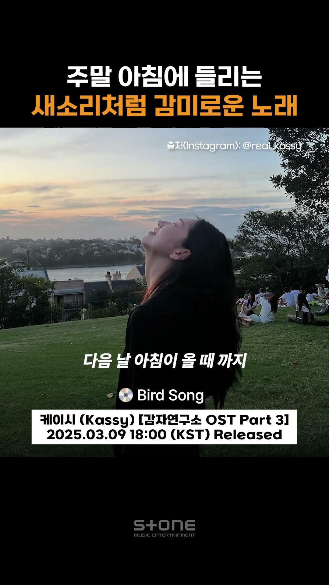 주말 아침 해뜰 때 들리는 새소리처럼 감미로운 케이시 'Bird Song' 등장?｜#Shorts