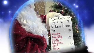 Kearney Area Animal Shelter 2012 Christmas 30