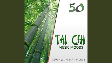 Tai Chi Music Moods