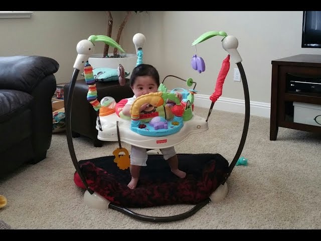 Fisher-Price Jumperoo: Luv U Zoo